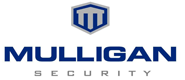 Mulligan Security